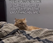 1710078747922.png