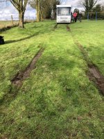 IMG_5595.jpeg IMG_5595.jpeg