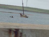 IMG_2352.jpeg