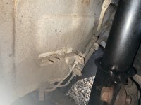 IMG_0206.jpeg