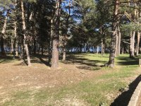 IMG_5816.jpeg IMG_5816.jpeg