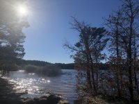 IMG_5818.jpeg IMG_5818.jpeg