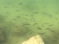 IMG_5837.jpeg IMG_5837.jpeg