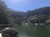 IMG_5835.jpeg IMG_5835.jpeg