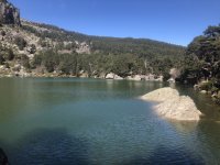 IMG_5839.jpeg IMG_5839.jpeg