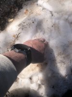 IMG_5841.jpeg IMG_5841.jpeg