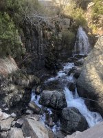 IMG_5842.jpeg IMG_5842.jpeg