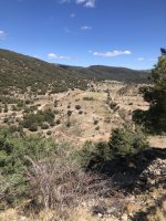 IMG_6158.jpeg IMG_6158.jpeg