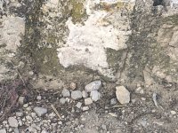 IMG_6160.jpeg IMG_6160.jpeg