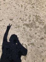 IMG_6194.jpeg IMG_6194.jpeg