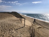 1715174816796.jpeg 1715174816796.jpeg