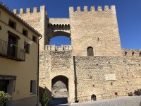 IMG_6229.jpeg IMG_6229.jpeg