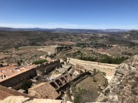 IMG_6175.jpeg IMG_6175.jpeg