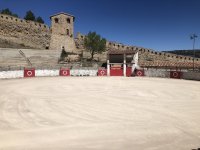 IMG_6164.jpeg IMG_6164.jpeg