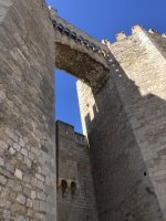 IMG_6161.jpeg IMG_6161.jpeg