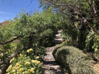 IMG_6217.jpeg IMG_6217.jpeg