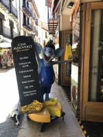 IMG_6222.jpeg IMG_6222.jpeg