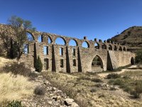 IMG_6233.jpeg IMG_6233.jpeg