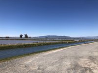 IMG_6245.jpeg IMG_6245.jpeg