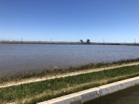 IMG_6243.jpeg IMG_6243.jpeg