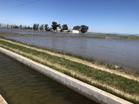 IMG_6242.jpeg IMG_6242.jpeg