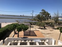 IMG_6241.jpeg IMG_6241.jpeg