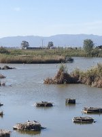 IMG_6261.jpeg IMG_6261.jpeg