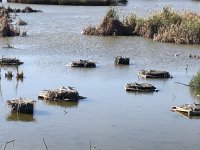 IMG_6257.jpeg IMG_6257.jpeg