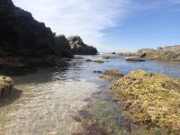 1715285515259.jpeg 1715285515259.jpeg