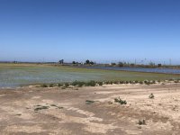 IMG_6246.jpeg IMG_6246.jpeg