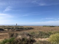 IMG_6268.jpeg IMG_6268.jpeg