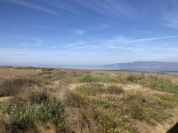 IMG_6266.jpeg IMG_6266.jpeg