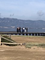 IMG_6277.jpeg IMG_6277.jpeg