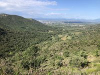 IMG_6470.jpeg IMG_6470.jpeg