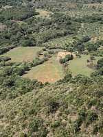 IMG_6471.jpeg IMG_6471.jpeg