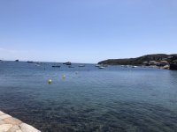 IMG_6502.jpeg IMG_6502.jpeg