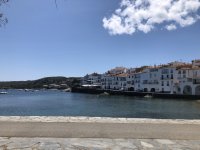 IMG_6501.jpeg IMG_6501.jpeg