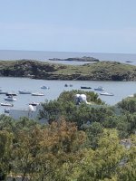 IMG_6491.jpeg IMG_6491.jpeg