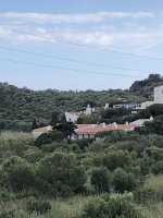 IMG_6518.jpeg IMG_6518.jpeg