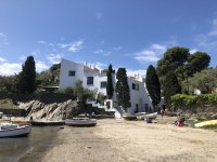 IMG_6477.jpeg IMG_6477.jpeg