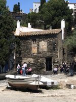 IMG_6481.jpeg IMG_6481.jpeg