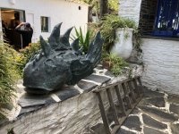 IMG_6484.jpeg IMG_6484.jpeg