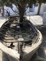 IMG_6486.jpeg IMG_6486.jpeg