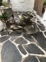 IMG_6519.jpeg IMG_6519.jpeg