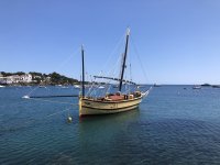 IMG_6504.jpeg IMG_6504.jpeg