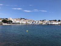 IMG_6503.jpeg IMG_6503.jpeg