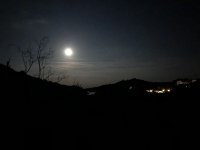 IMG_6522.jpeg IMG_6522.jpeg