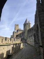 IMG_6523.jpeg IMG_6523.jpeg