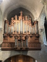 IMG_6528.jpeg IMG_6528.jpeg