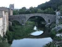 IMG_6550.jpeg IMG_6550.jpeg